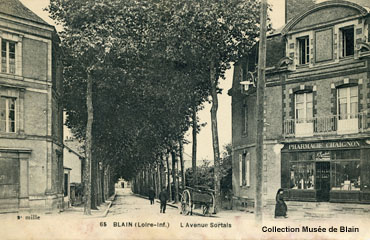l'avenue Sortais